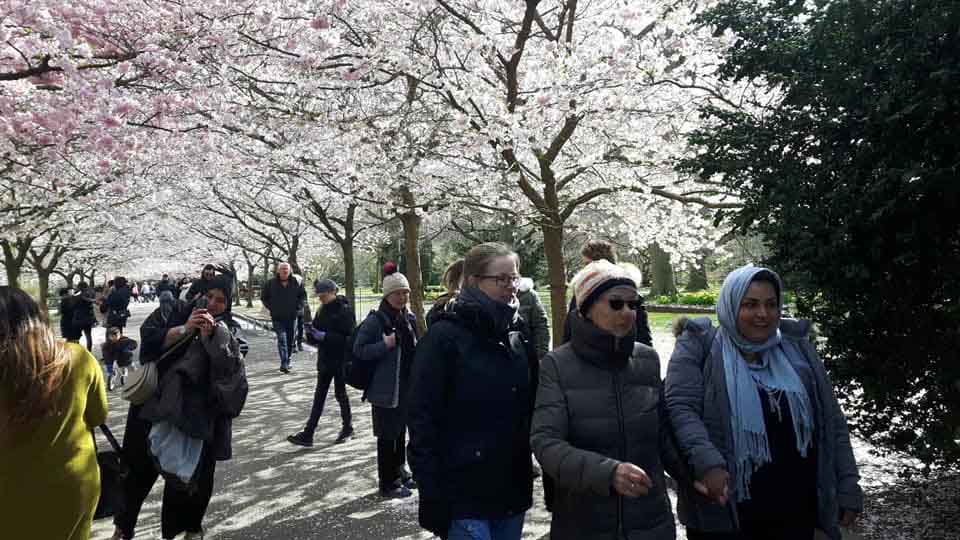 walk and talk aktiviteter for udsatte familer nordvest